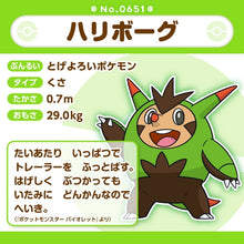 Load image into Gallery viewer, Igastarnish plush toy "Pokémon fit"