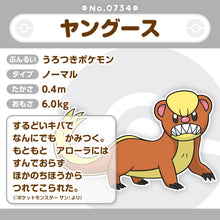 Load image into Gallery viewer, Mangunior Plüschtier »Pokémon fit«