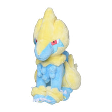 Load image into Gallery viewer, Voltenso plush toy "Pokémon fit"