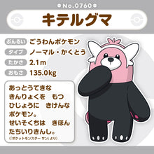 Load image into Gallery viewer, Kosturso Plüschtier »Pokémon fit«
