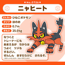 Laden Sie das Bild in den Galerie-Viewer, Miezunder Plüschtier »Pokémon fit«