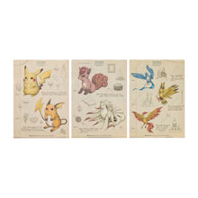 Load image into Gallery viewer, A4 Klarsichthüllen-Set "Aufzeichnungen eines Pokémon-Professors"