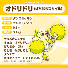 Load image into Gallery viewer, Choreogel (Cheerleading-Stil) Plüschtier »Pokémon fit«
