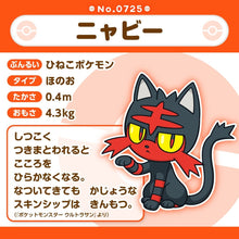 Load image into Gallery viewer, Flamiau Plüschtier »Pokémon fit« - PokéOta