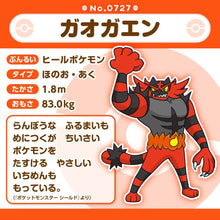 Load image into Gallery viewer, Fuegro Plüschtier »Pokémon fit« - PokéOta
