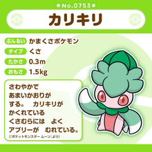 Load image into Gallery viewer, Imantis Plüschtier »Pokémon fit« - PokéOta