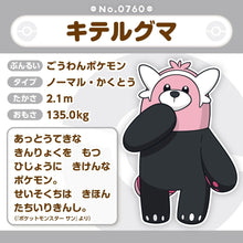 Load image into Gallery viewer, Kosturso Plüschtier »Pokémon fit« - PokéOta