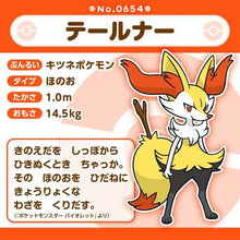 Laden Sie das Bild in den Galerie-Viewer, Rutena Plüschtier »Pokémon fit« - PokéOta