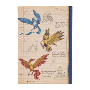 Hardcover Notebook "Notes of a Pokémon Professor" Articuno, Zaptos &amp; Moltres