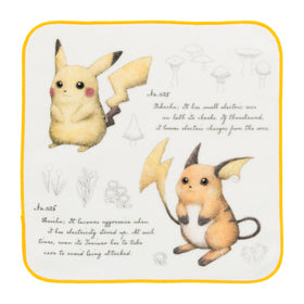 Cloth handkerchief "Notes of a Pokémon Professor" Pikachu &amp; Raichu