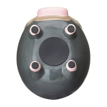 Load image into Gallery viewer, Ferkuli Sparschwein - PokéOta